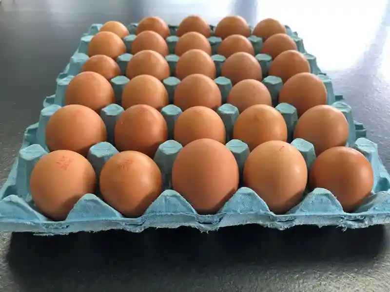 بيض احمر درجة اولى