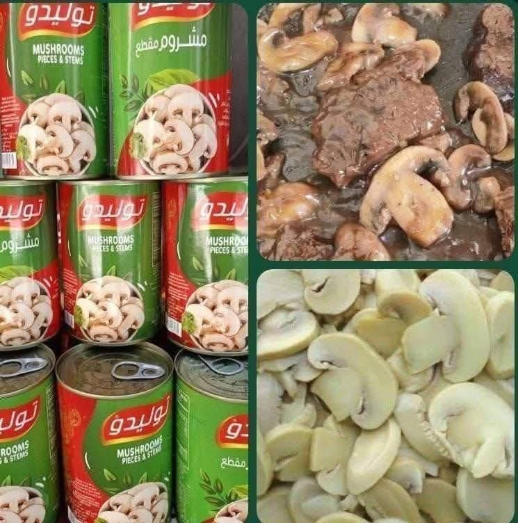 مشروم توليدو